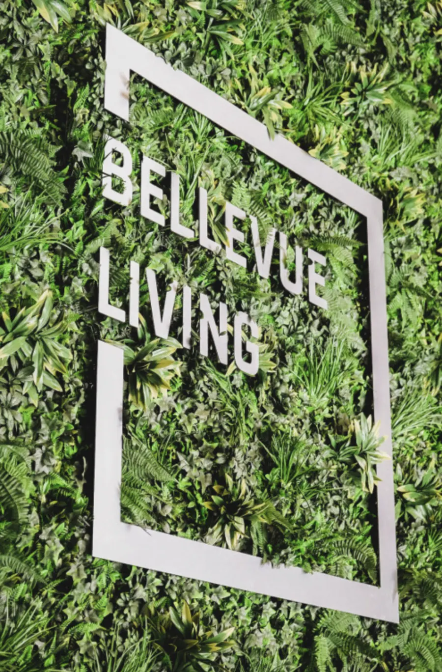 Nesvetlobne 3D črke Bellevue Living na zeleni steni