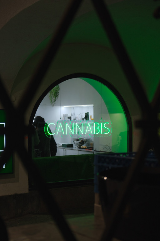 Canabis – fotografija izvedbe ELP